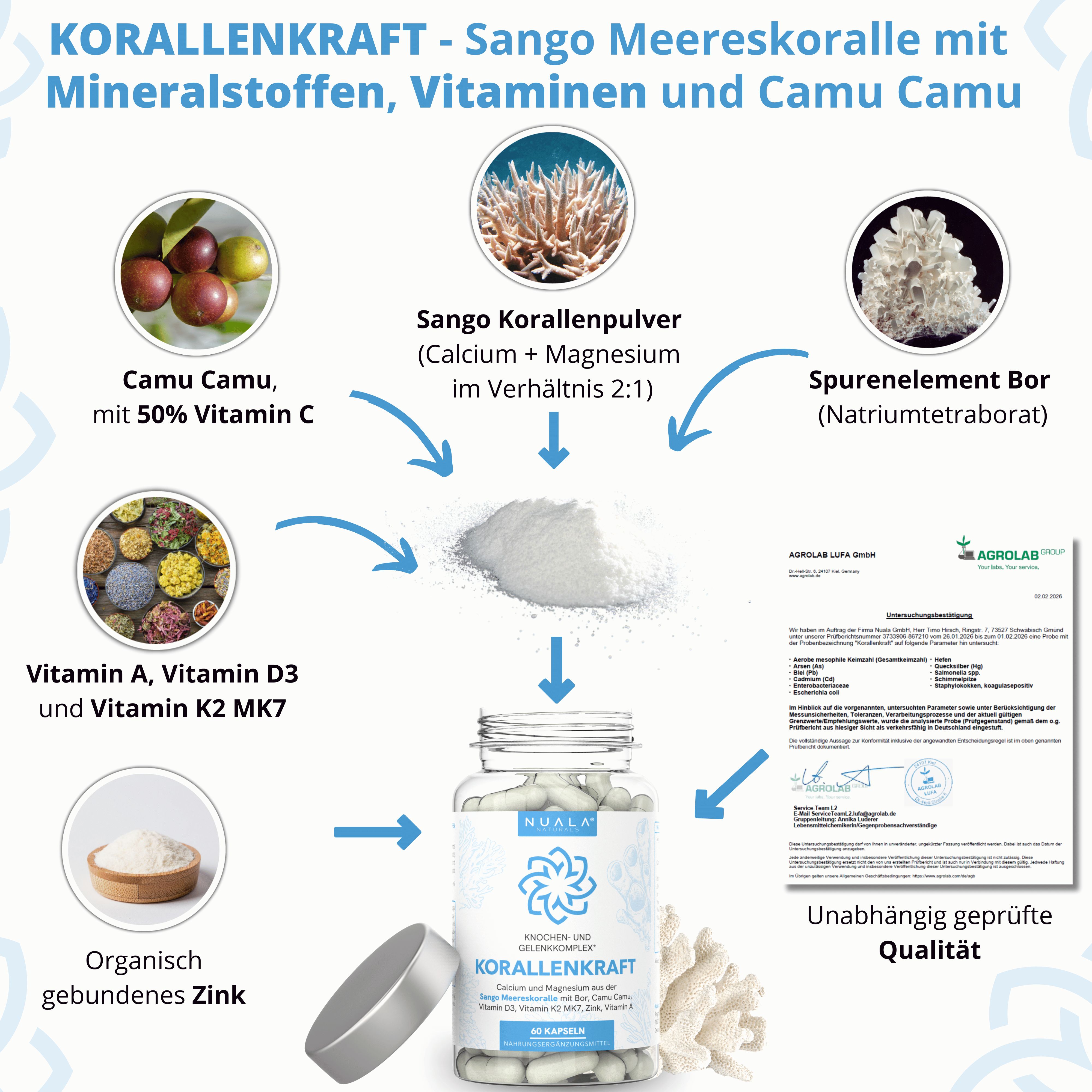 Nuala Naturals® - KORALLENKRAFT Knochen- und Gelenk Komplex* mit Sango Meereskoralle