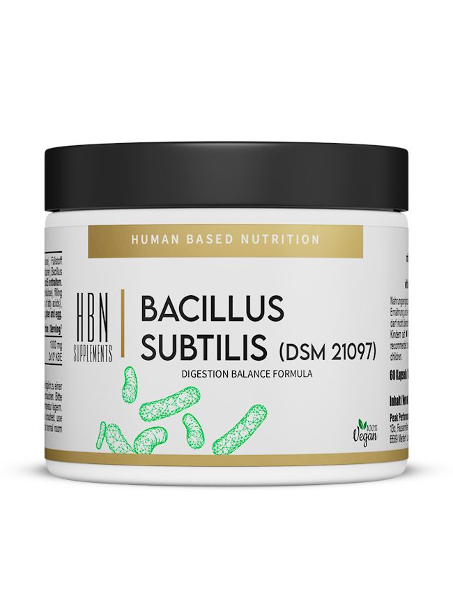 Weißes Produktglas mit schwarzem Deckel. Aufschrift: HBN Supplements, Bacillus Subtilis (DSM 21097), Digestion Balance Formula.
