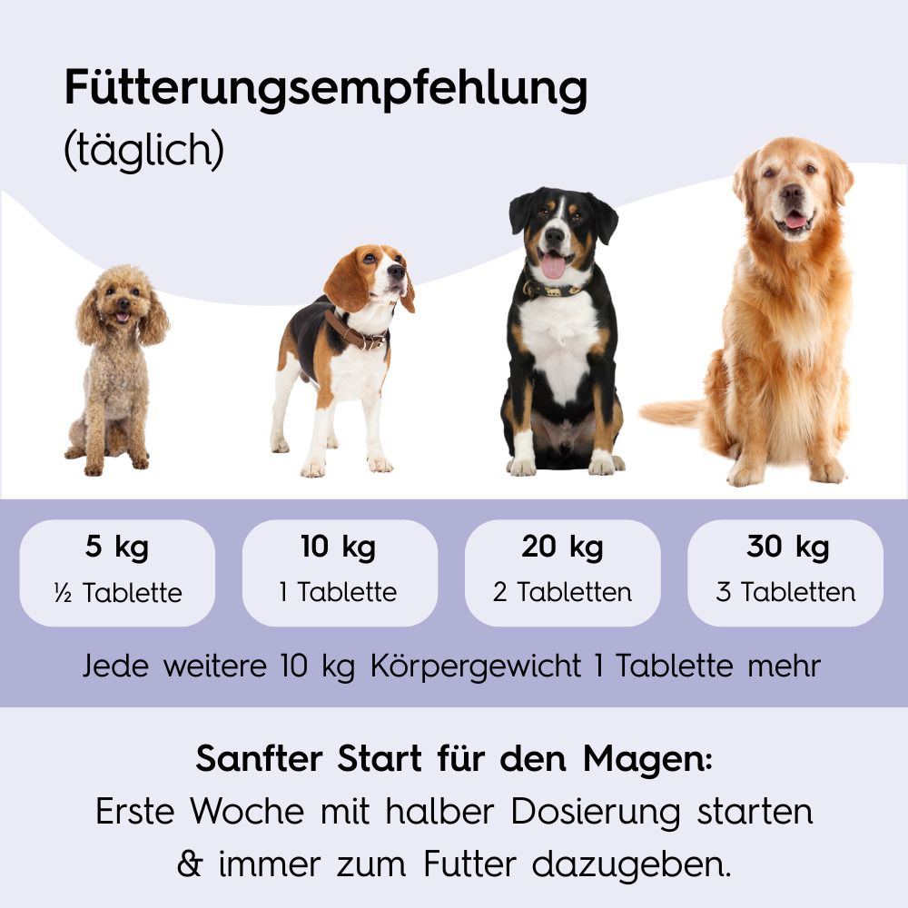 Fütterungsempfehlung für Hunde. Verschiedene Hundegrößen mit Dosierungsangaben in Tabletten. Sanfter Start für den Magen.