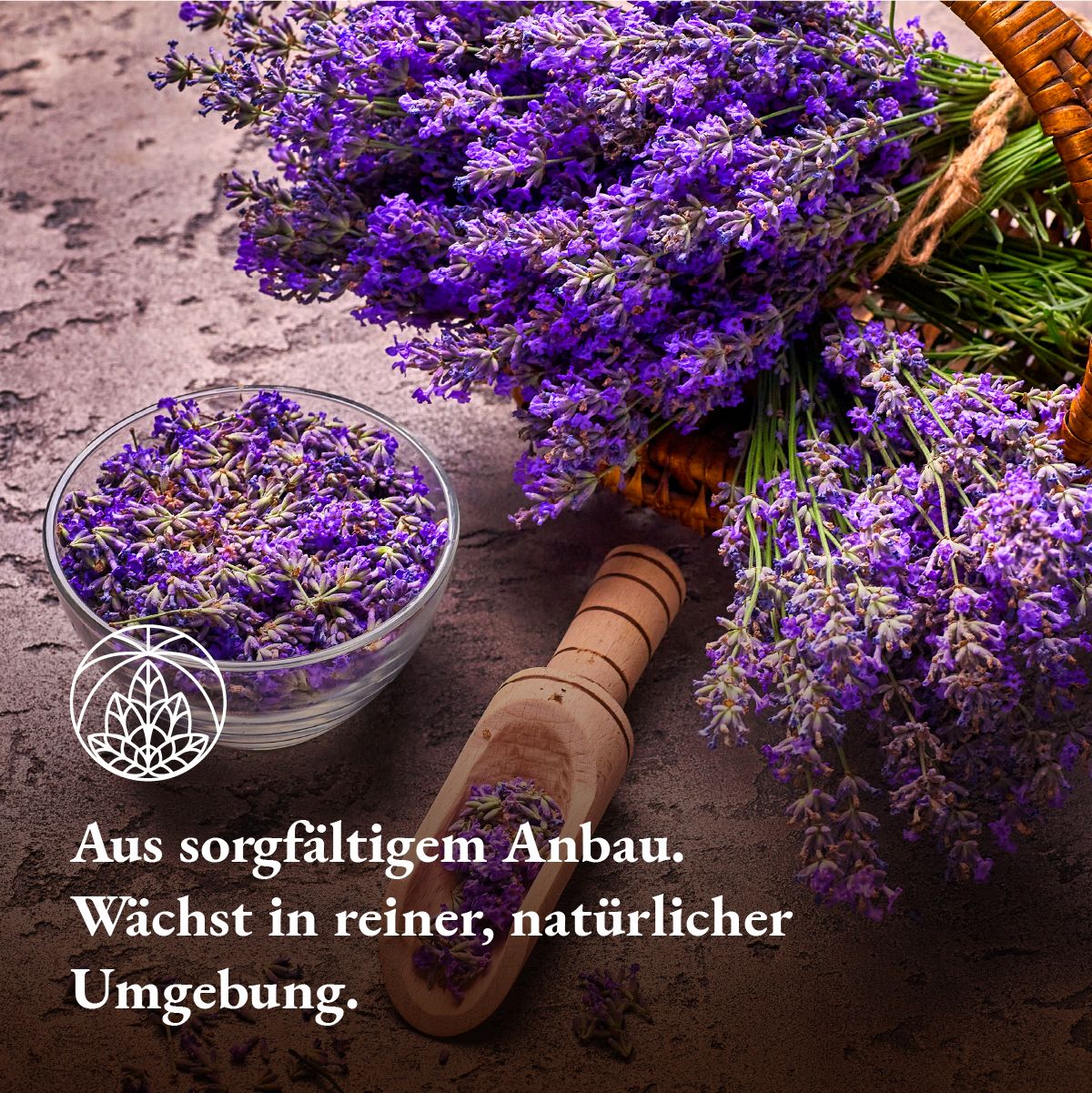 Monte Nativo Lavendelblüten Kräutertee lose
