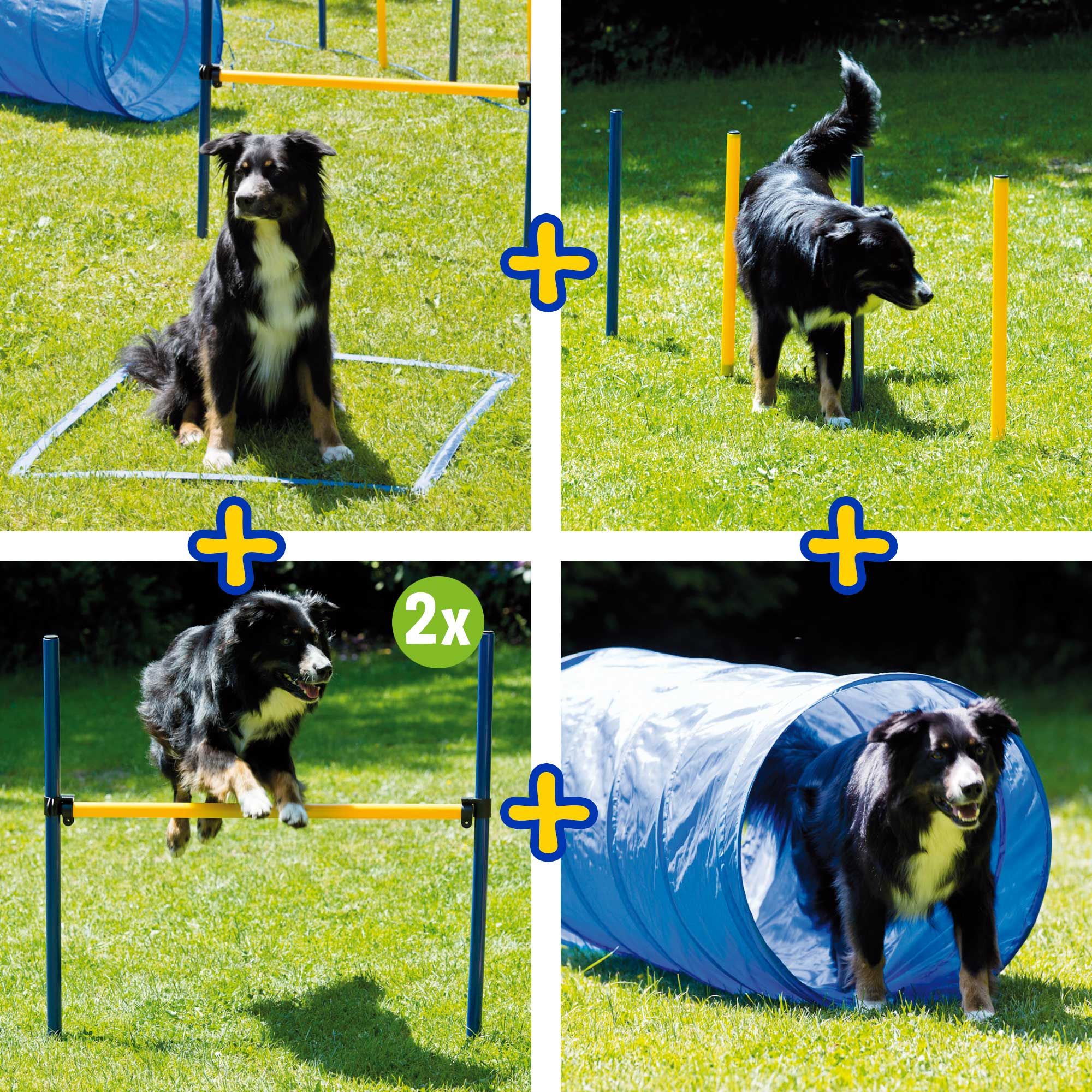Hundespielzeug - Dog Agility Set S/M Dog Agility Set groß&nbsp;