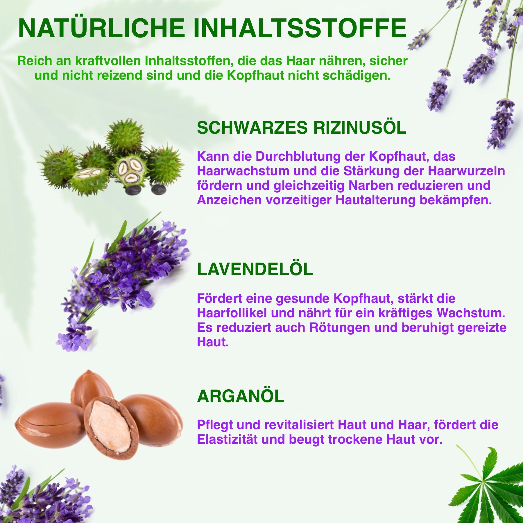 ALIVER 3-in-1 Rizinus Lavendel Argan  Haaröl
