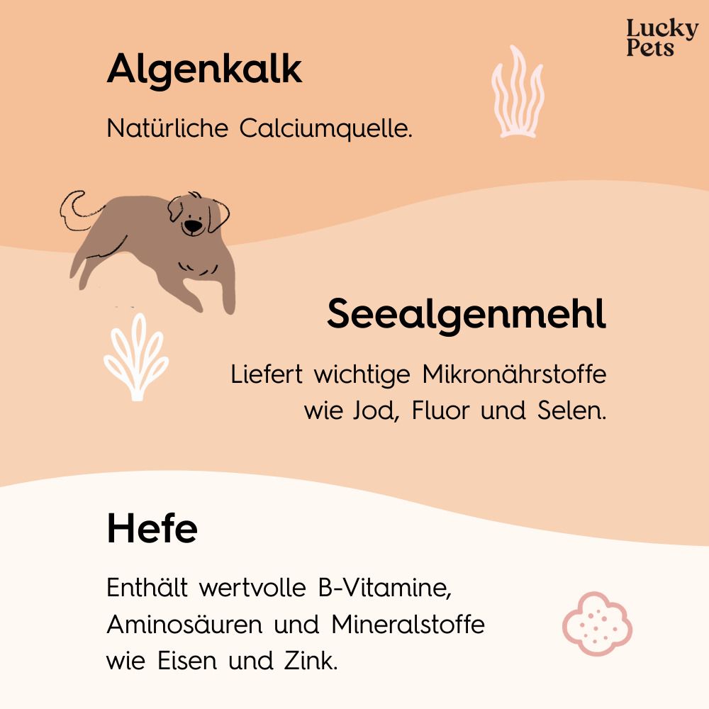 Barf Pulver für Hunde