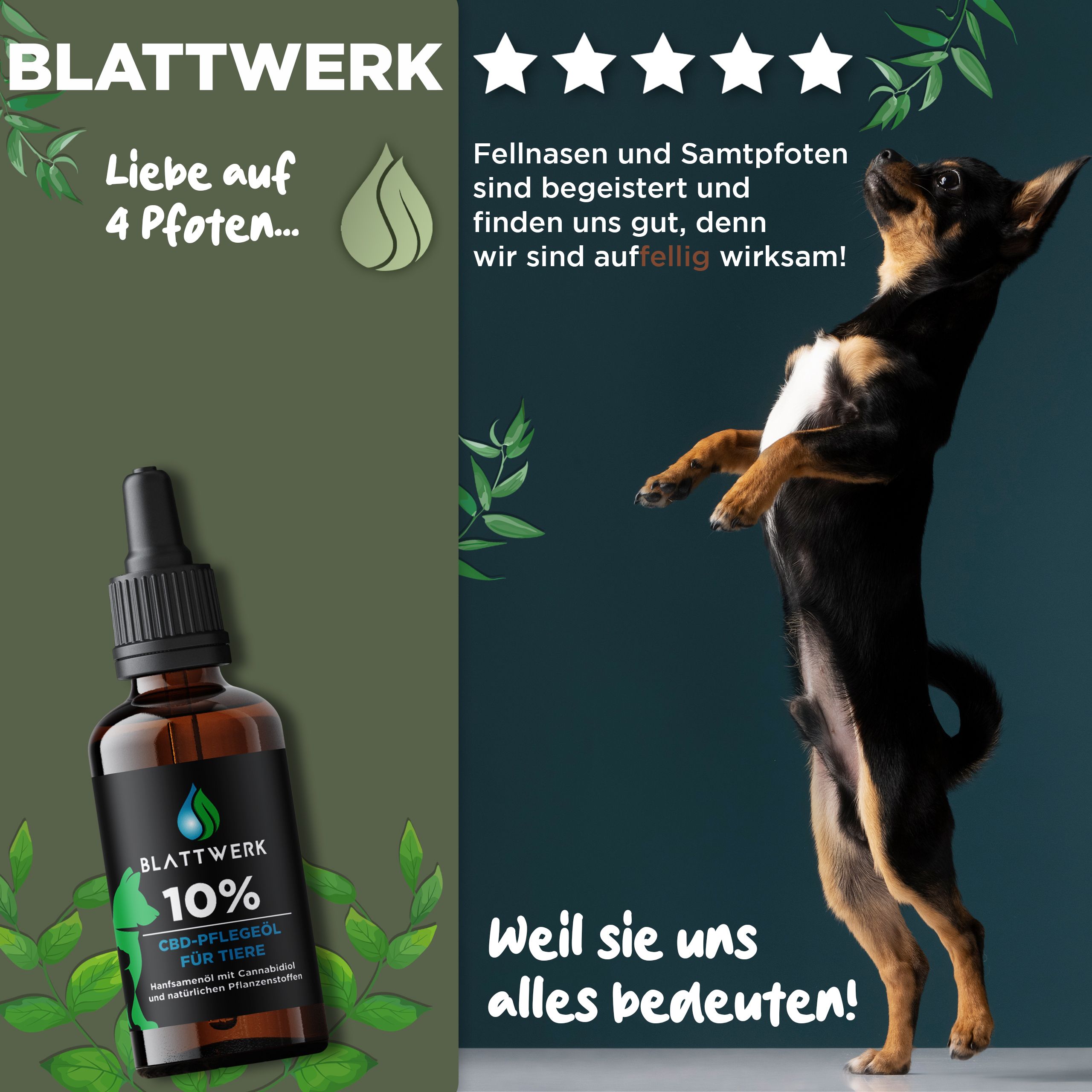 10% CBD Öl für Hunde & Katzen - Deutsche Qualität - CBD Öl Hund - 10ml - 250 CBD Tropfen - BLATTWERK
