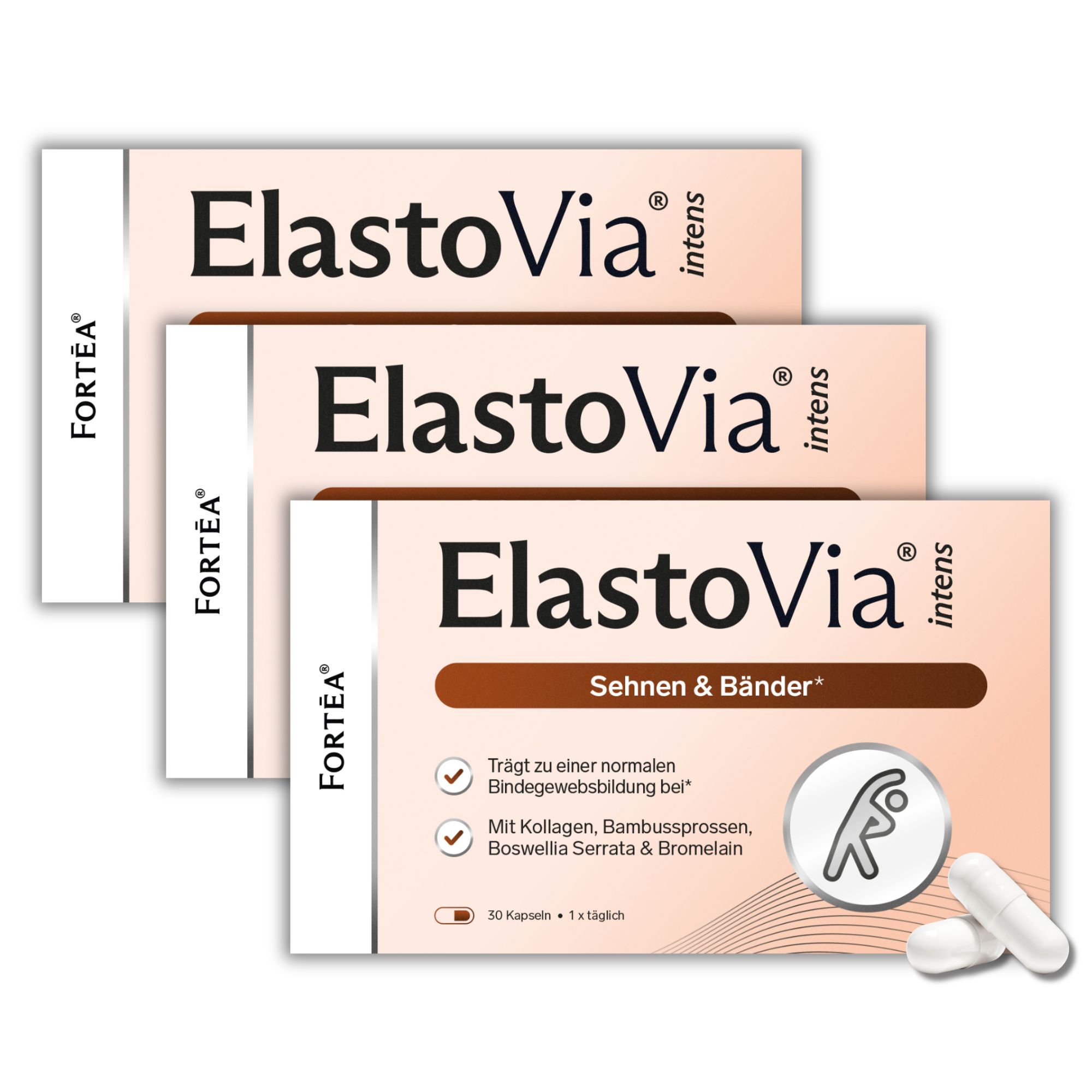 Fortea® ElastoVia® intens – Sehnen & Bänder 90 g Kapseln