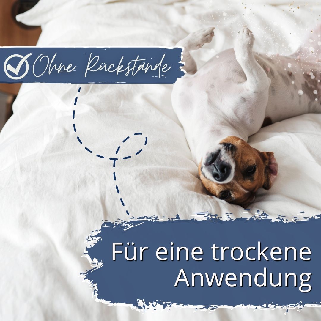 Hund liegt auf dem Rücken auf einem weißen Bett. Text: "Ohne Rückstände", "Für eine trockene Anwendung".