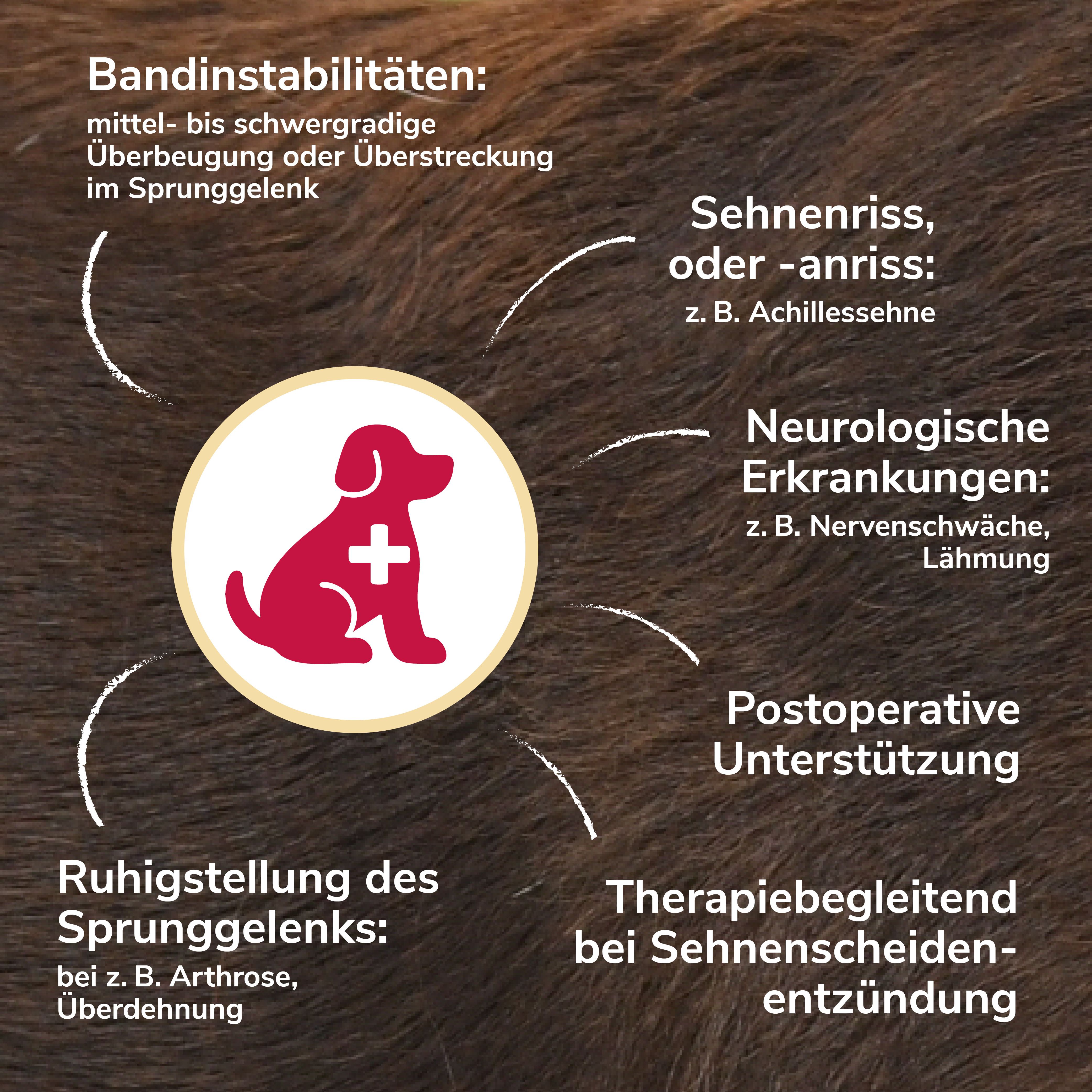Grafik mit Indikationen für die Sprunggelenkbandage: Überdehnung, Arthrose, Sehnenriss, neurologische Erkrankungen, postoperative Unterstützung.