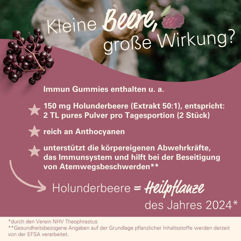 Infografik mit Text. Enthält Informationen über Immun Gummies. 150 mg Holunderbeere, reich an Anthocyanen. Pflanze 2024.