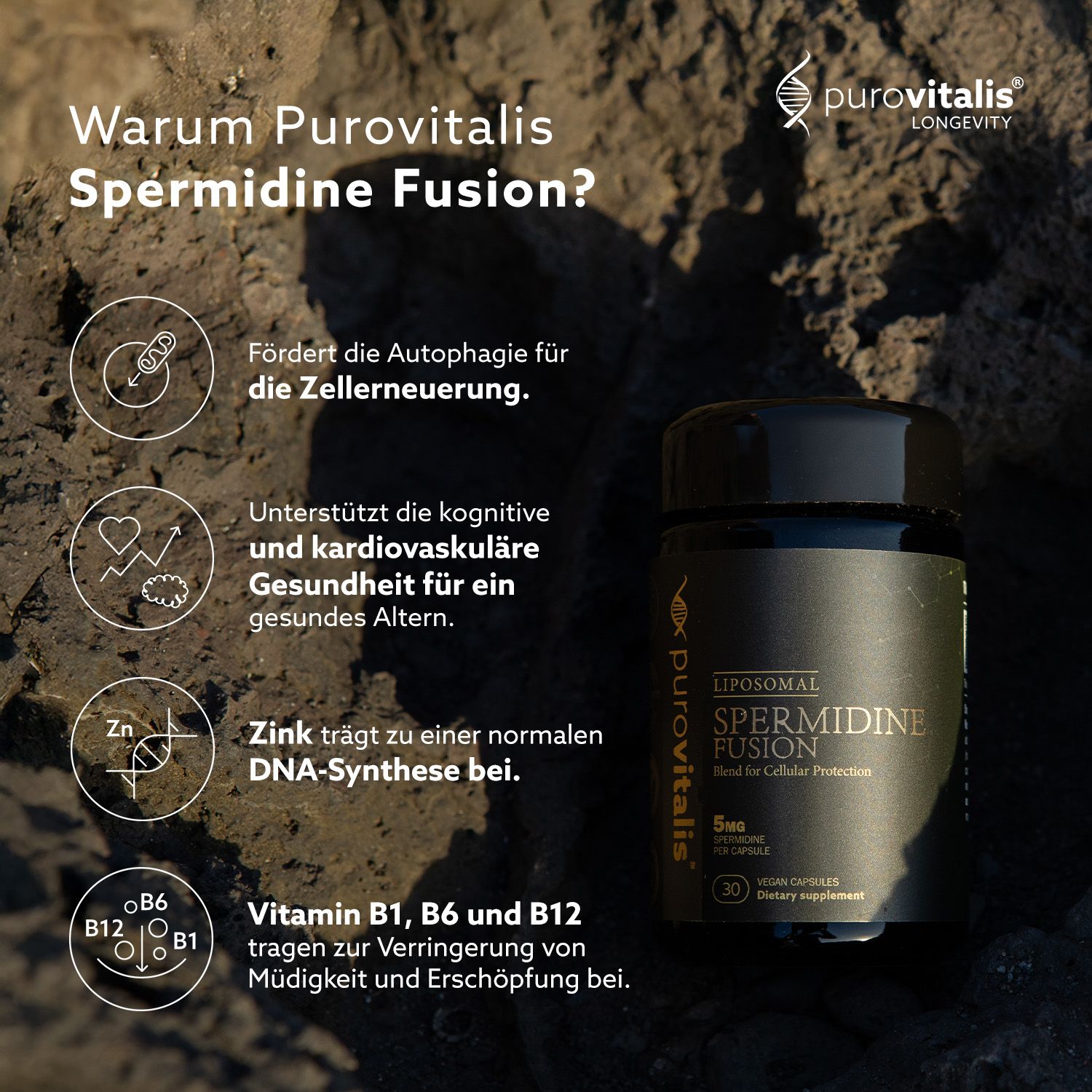 Produktflasche auf Steinen. Text: "Warum Purovitalis Spermidin Fusion?" und Vorteile. Logos: Vitamin B1, B6, B12, Zink.