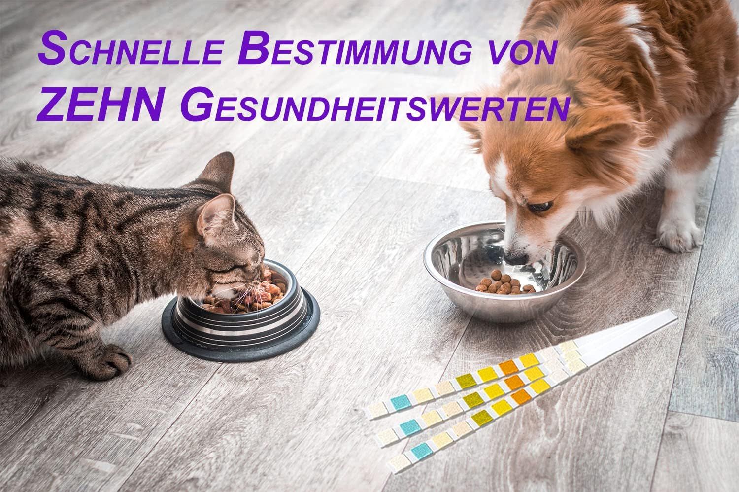 One+Step Urin Teststreifen für Hunde und Katzen - Schnelltest zur Prüfung von 10 Gesundheitswerten 15 St