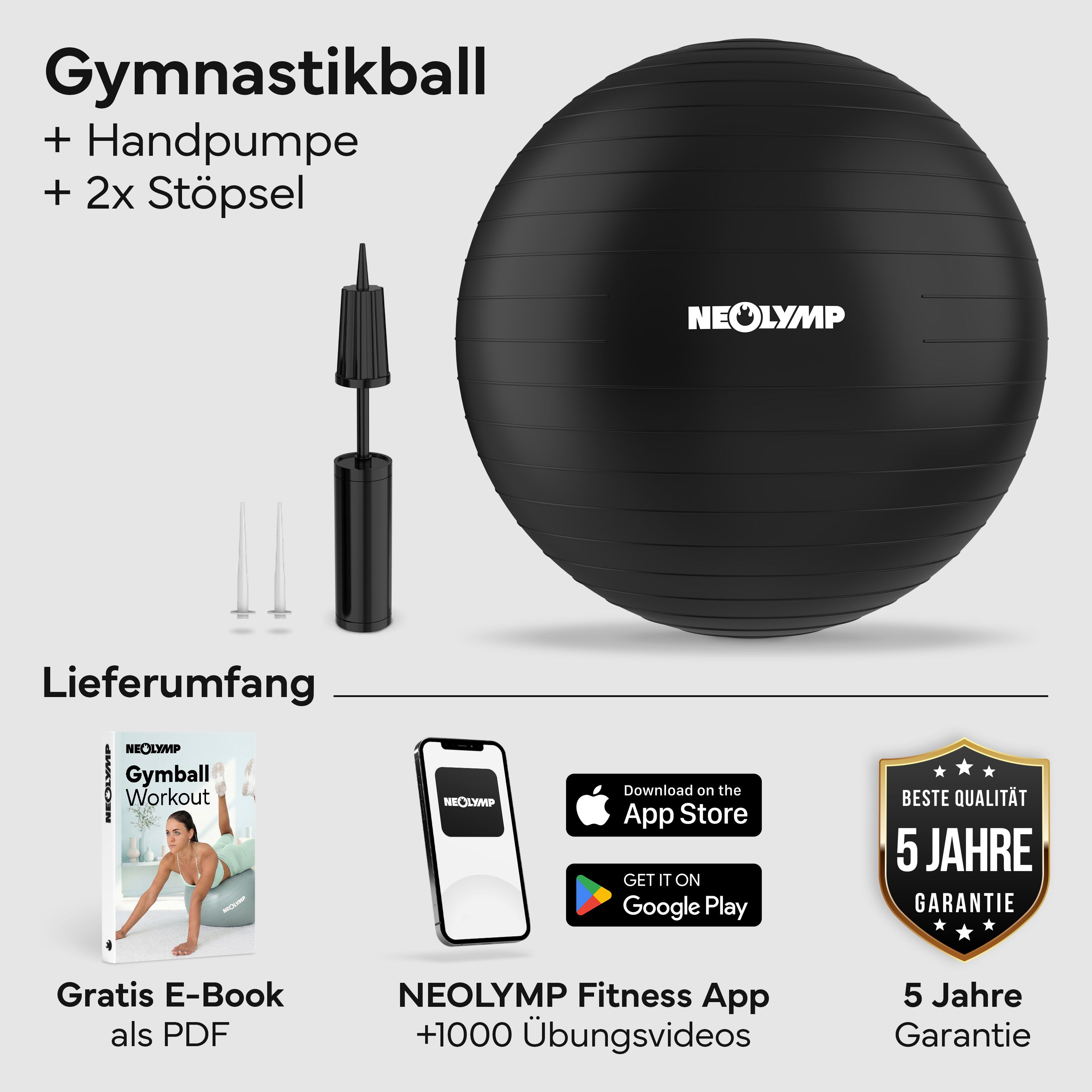 Gymnastikball-Set mit Pumpe, Ventilen, E-Book und App-Hinweis.