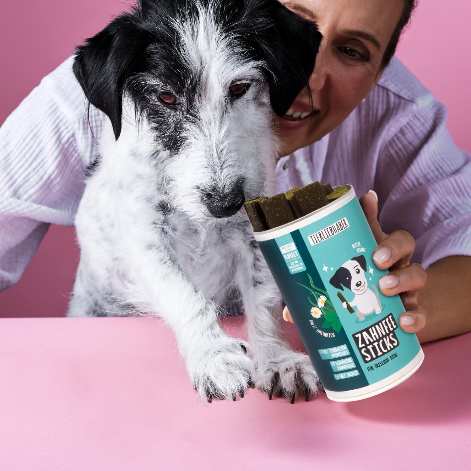 Person hält Dose Zahnfee Sticks, Hund daneben. Dose mit Produktname und Hund-Illustration.