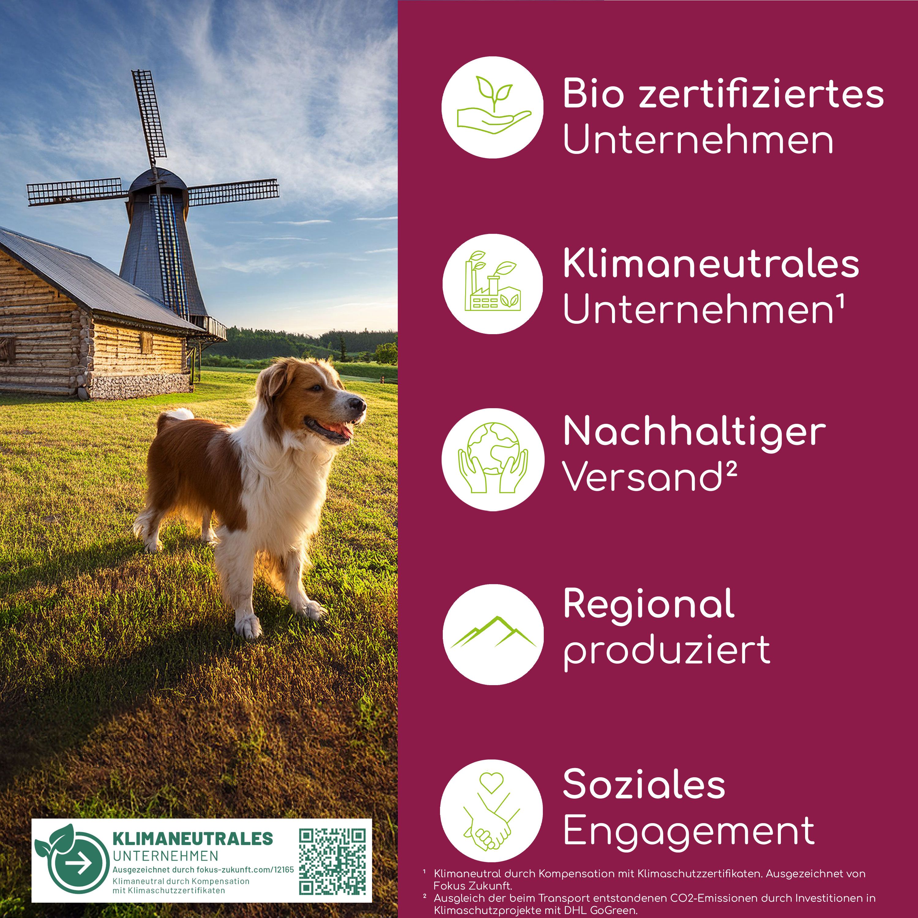 Hund vor Windmühle. Text: Bio zertifiziertes Unternehmen, klimaneutrales Unternehmen, nachhaltiger Versand, regional produziert, soziales Engagement.