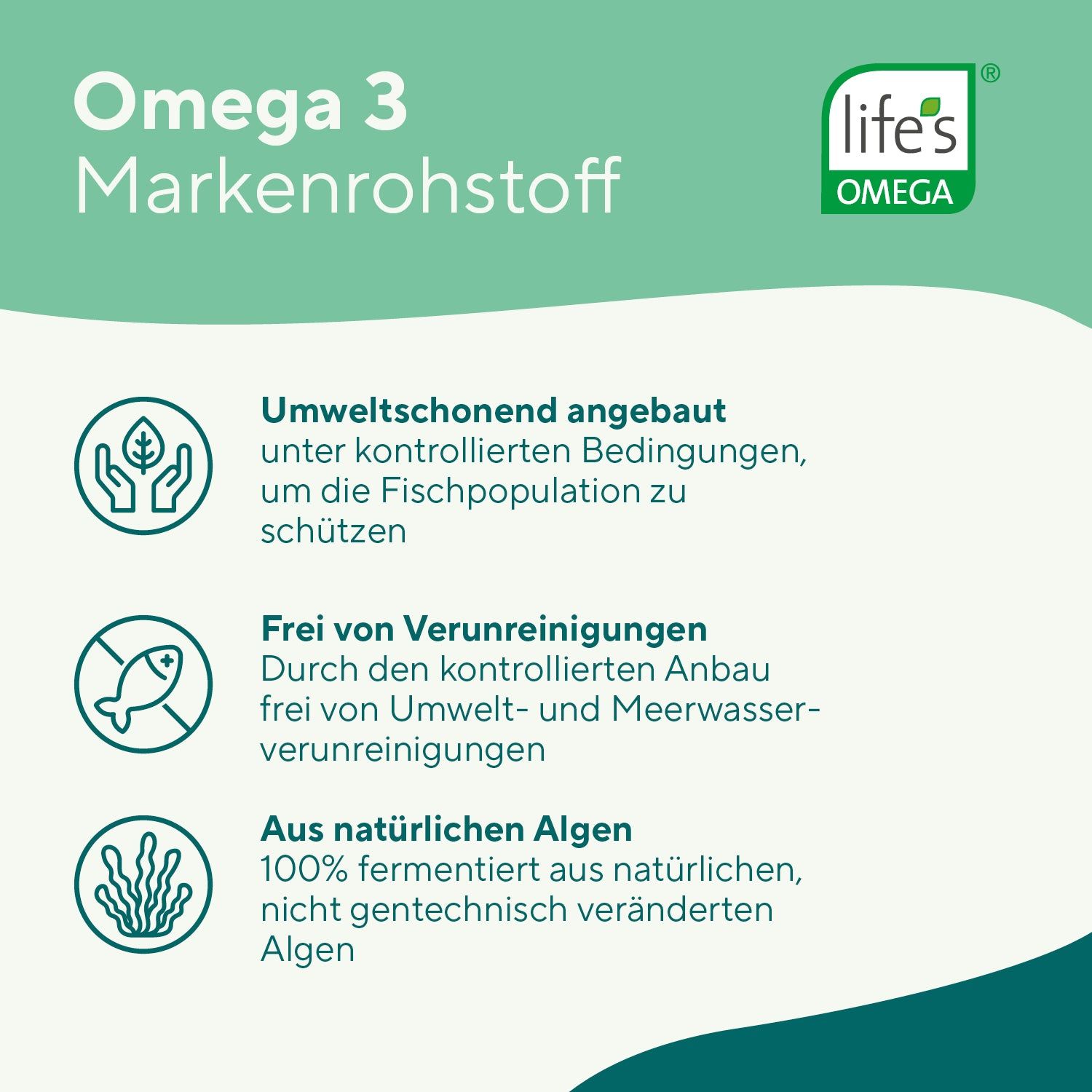 Text: Omega 3 Markenrohstoff. Umweltfreundlich angebaut, frei von Verunreinigungen, aus natürlichen Algen. Mit Life's Omega Siegel.