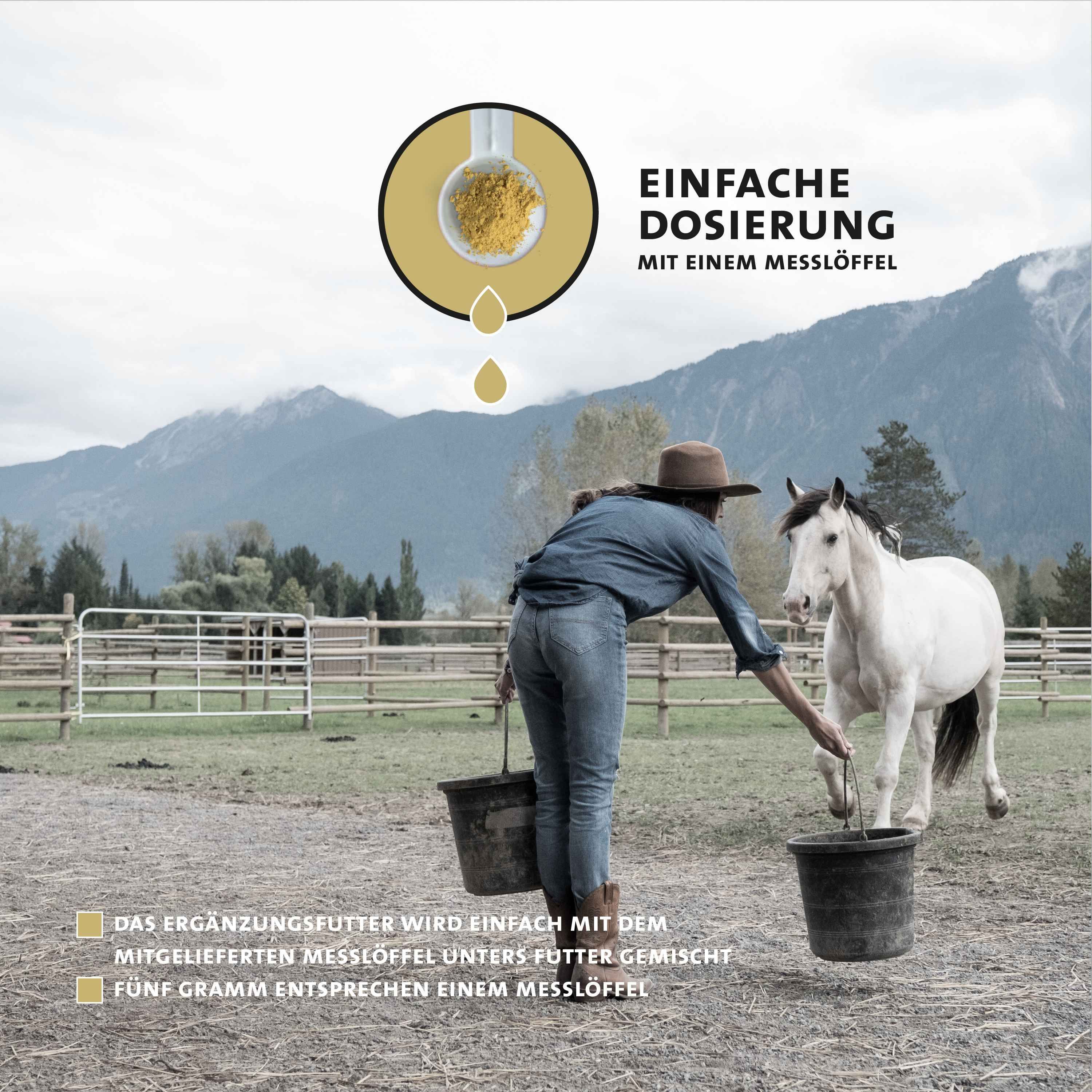 Peticare Natürliches Ergänzungsfutter für starke Hufe & glänzendes Fell