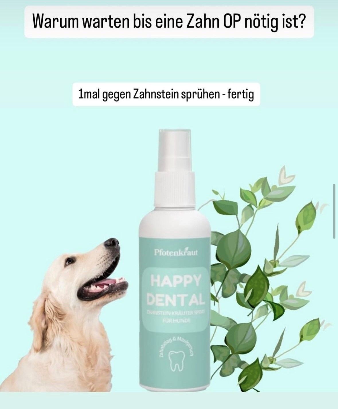 Pfotenkraut Zahnstein Spray HAPPY DENTAL
