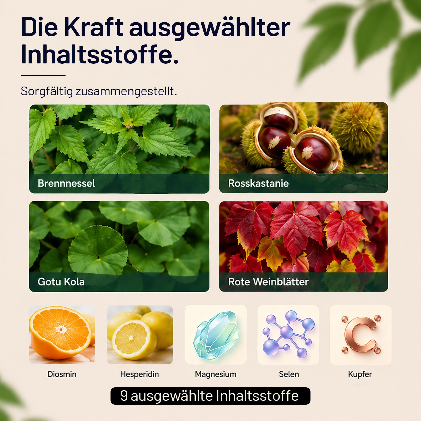 Zutaten für Wasserbalance: Brennnessel, Rosskastanie, Gotu Kola, Rote Weinblätter, Diosmin, Hesperidin, Selen, Kupfer.