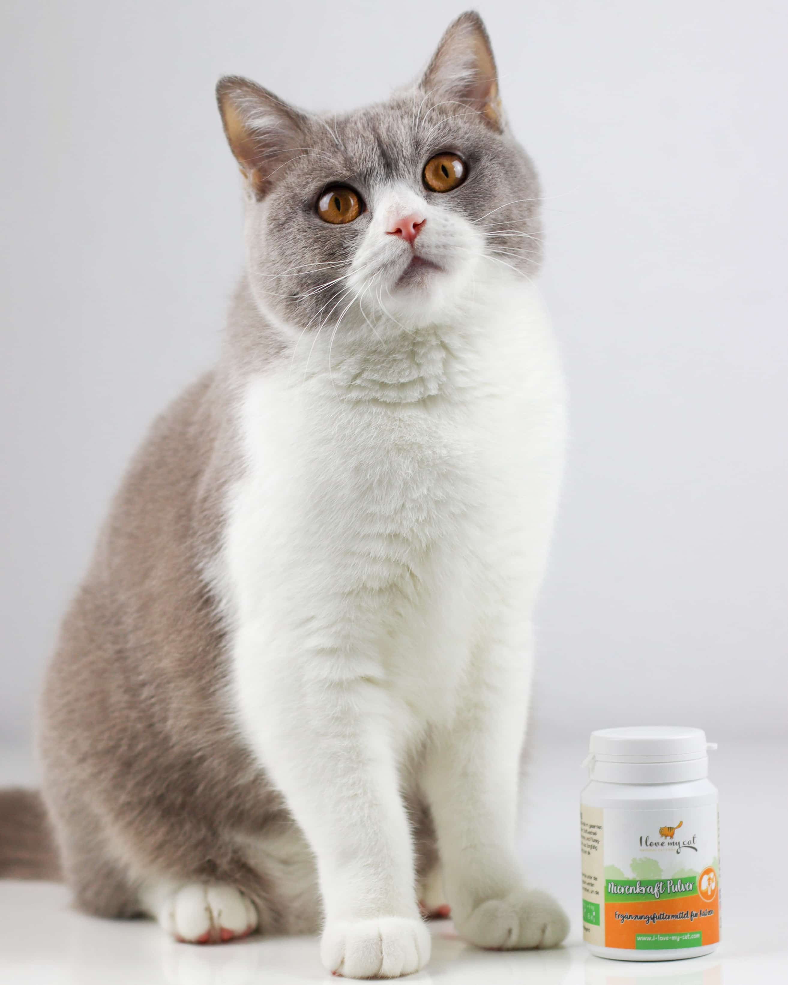 I love my cat Nahrungsergänzung für Katzen - Nierenkraft Pulver