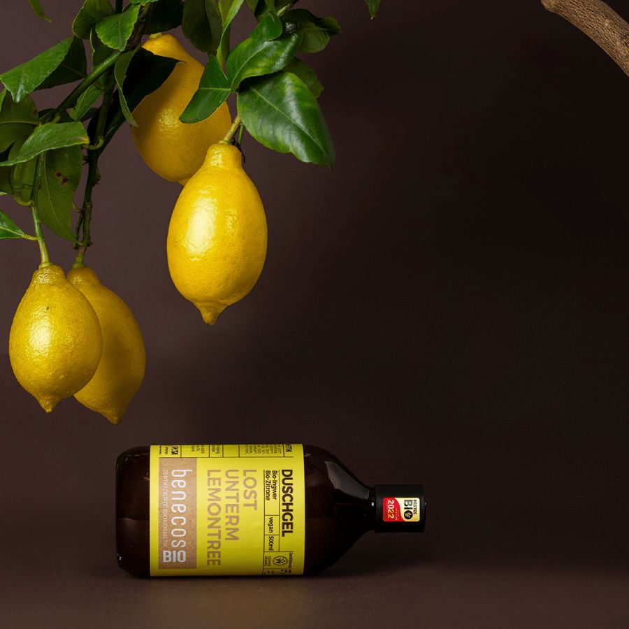 benecosBIO Duschgel BIO-Ingwer + BIO-Zitrone