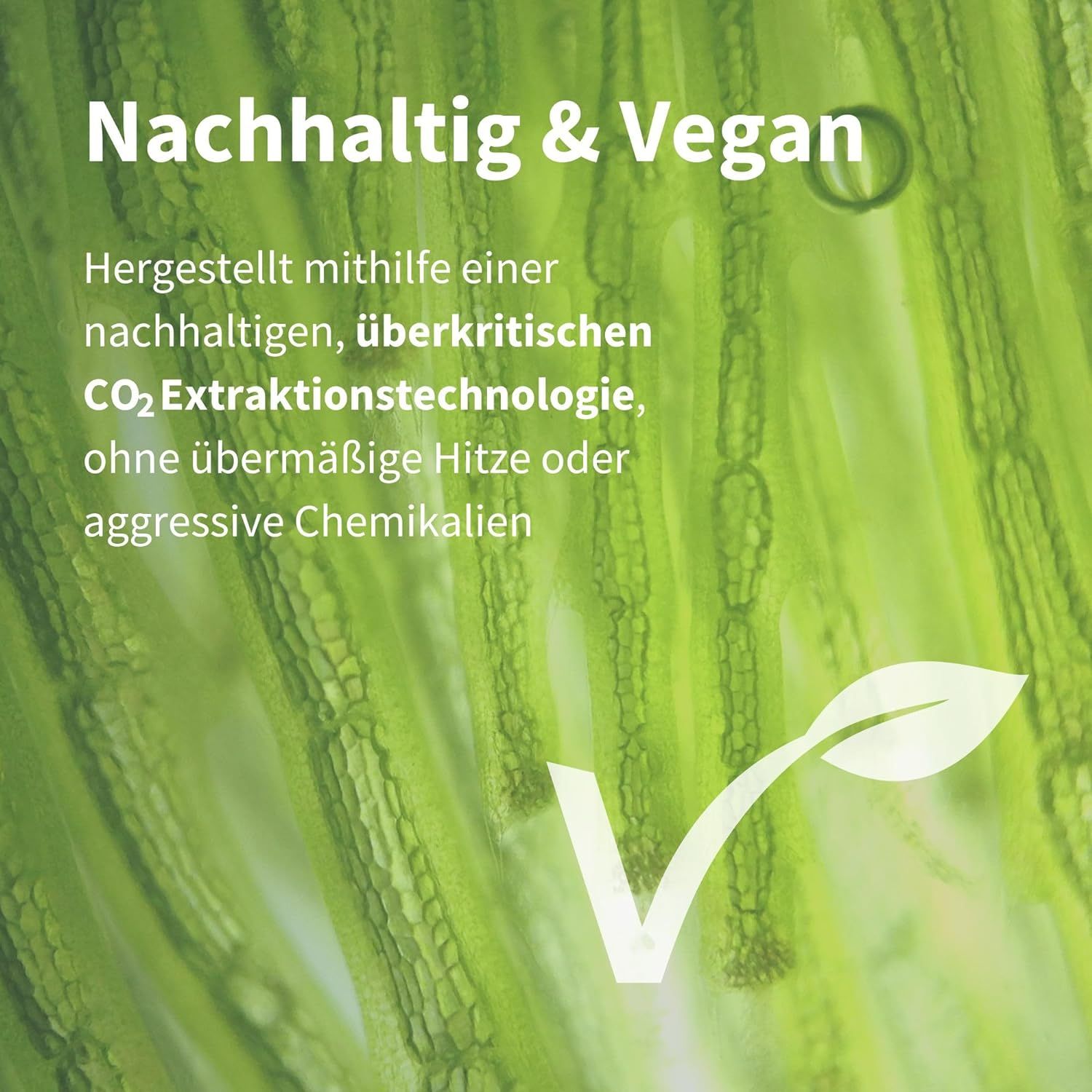 Primo piano di alghe verdi con testo: Sostenibile e vegano. Prodotto con tecnologia di estrazione CO2 sostenibile.