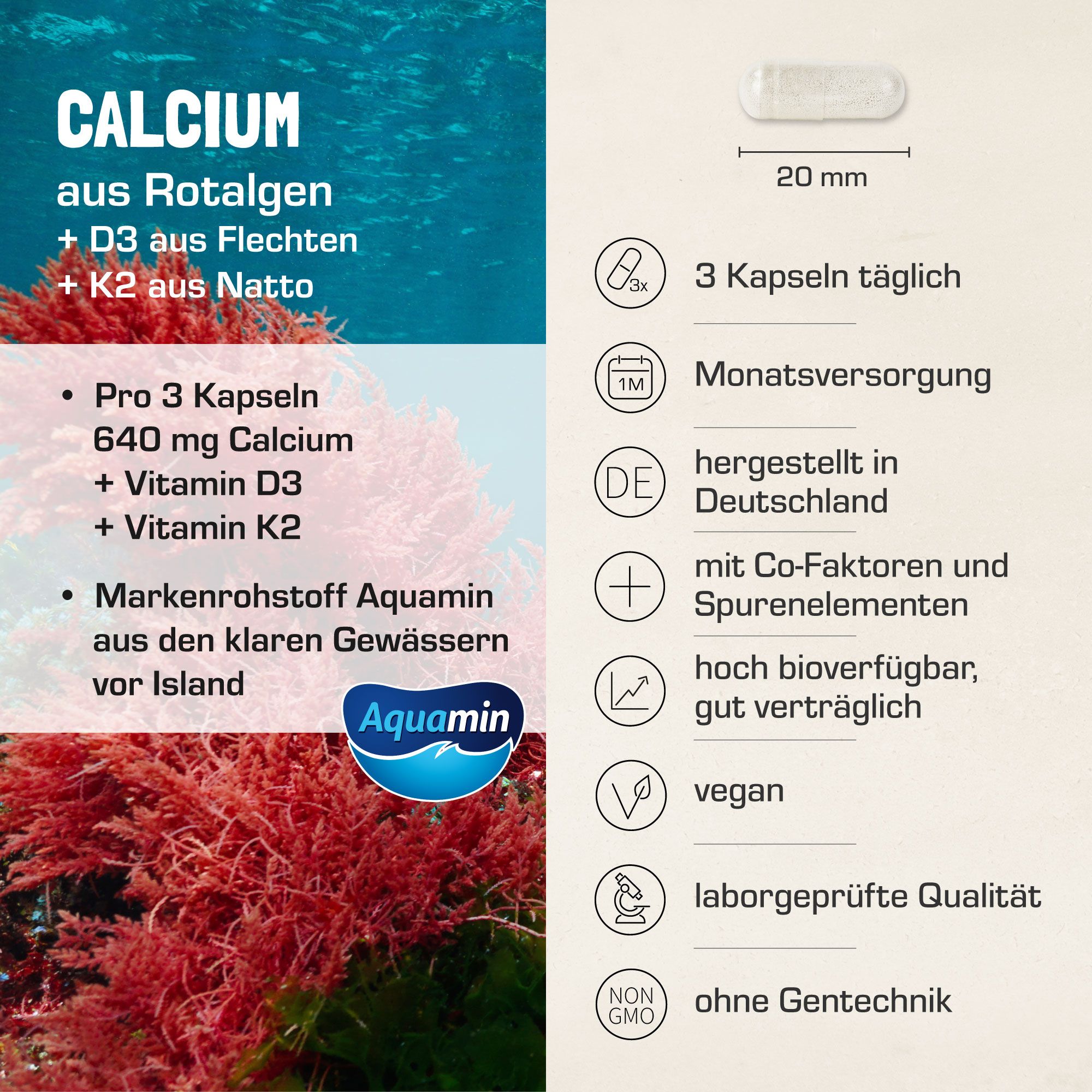 Purabyo Natürliches Calcium + D3/K2 90 St Kapseln