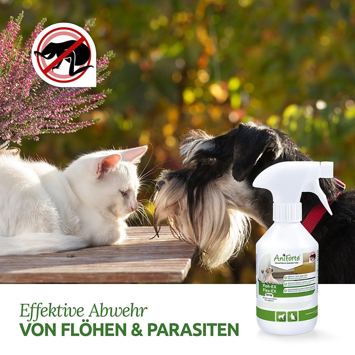 Floh-EX Spray neben Katze und Hund. Text: Effektive Abwehr von Flöhen & Parasiten. AniForte-Logo und Produktname sichtbar.
