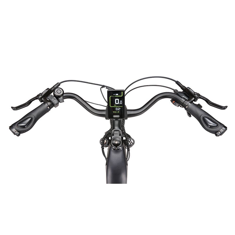 MAXTRON marathon E-Bike für Pendler, 36V 22,5Ah Akku