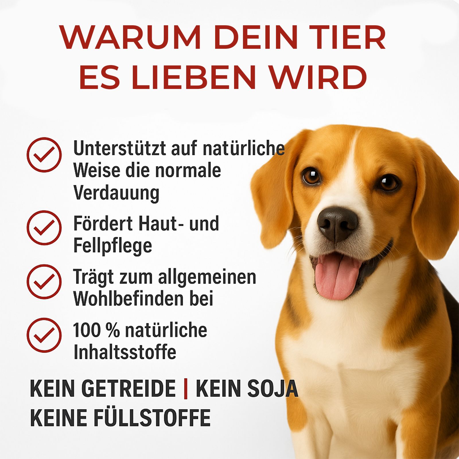 Beagle-Hund, Text: Unterstützt Verdauung, Fellpflege, Wohlbefinden, 100% natürliche Inhaltsstoffe. Kein Getreide, Soja, Füllstoffe.