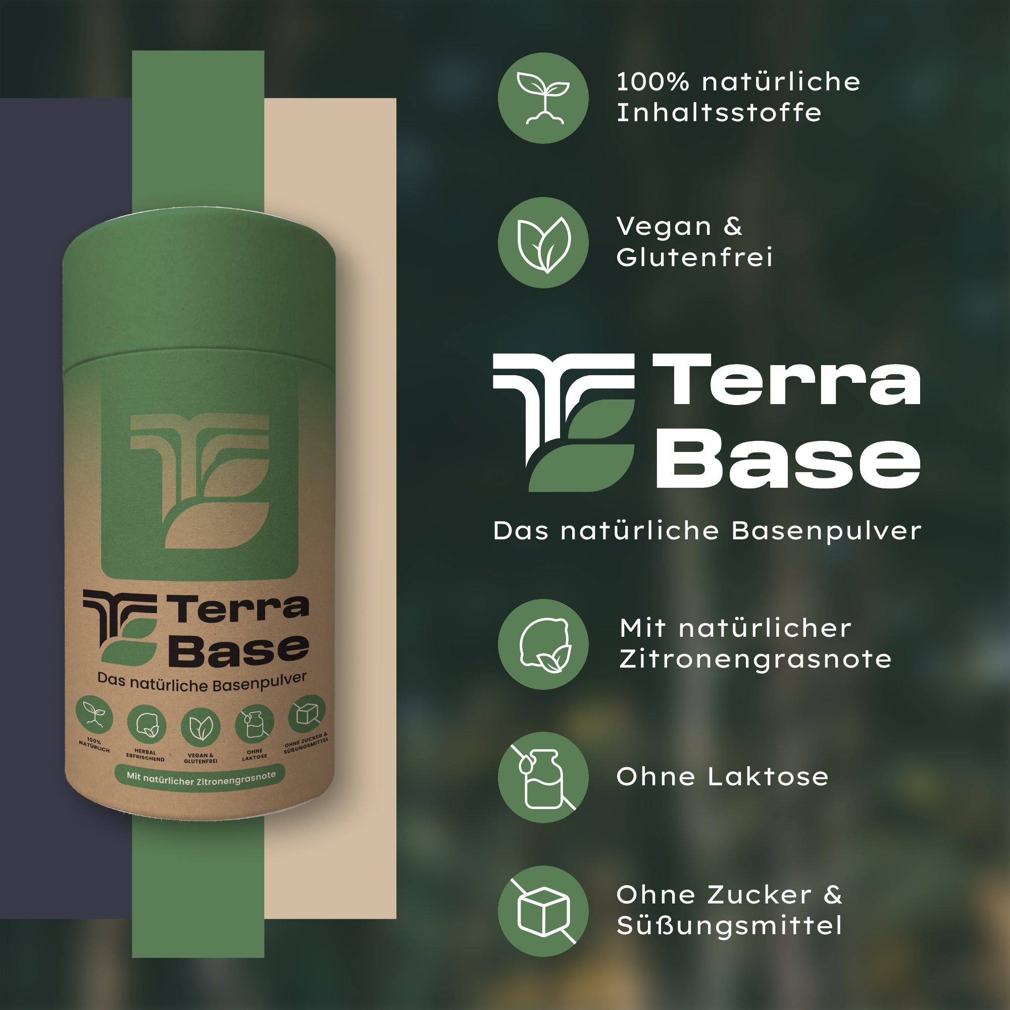 Zylindrische Dose mit Produktlogo und Text. Aufschrift: TerraBase, natürliches Basenpulver. Zusätzliche Icons und Text.