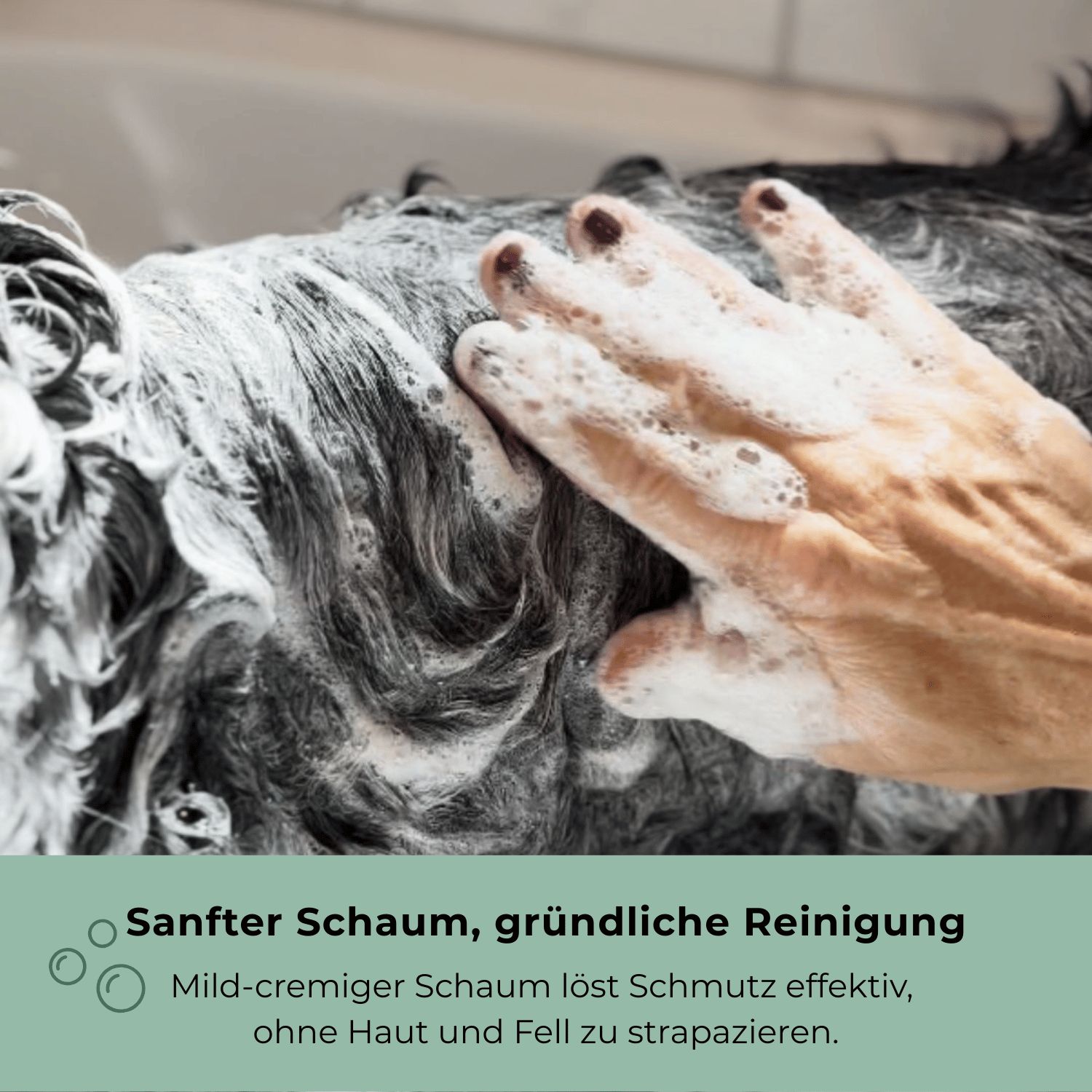 Rückseite der Verpackung für Hundeseife mit Inhaltsstoffen und Fairtrade-Hinweis.