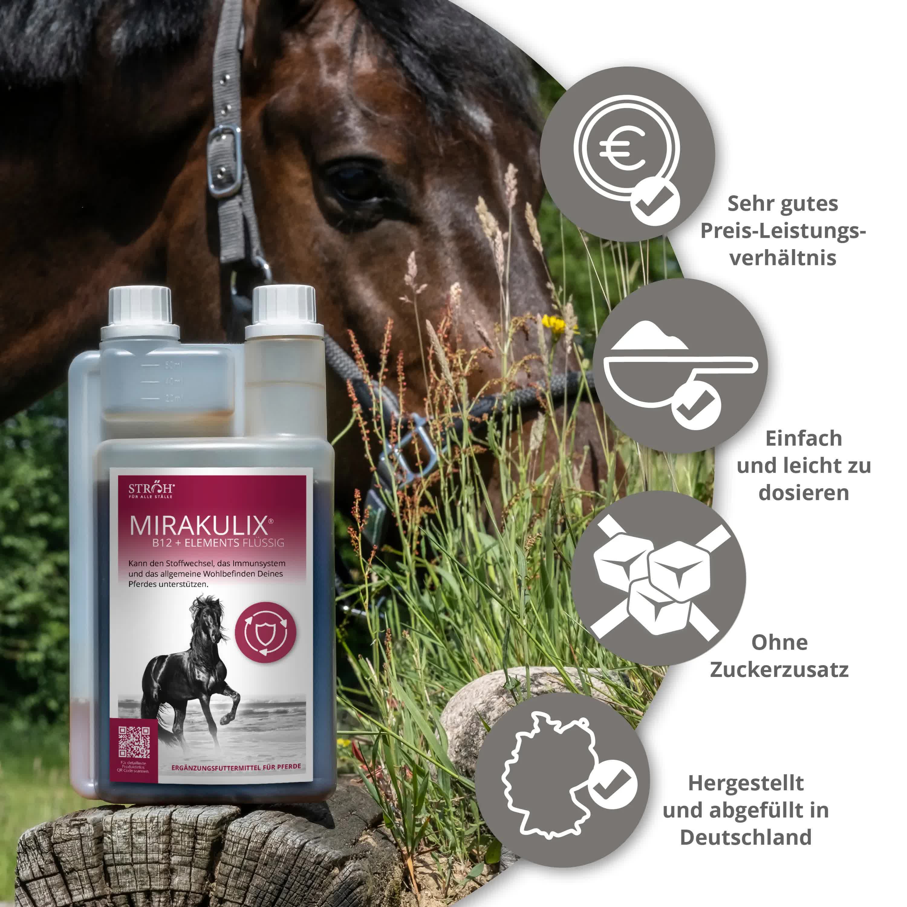 Produktflasche mit Produktbezeichnung und Pferdebild. Enthält eine kleine Dosierkappe. Marke: STRÖH MIRAKULIX B12 + ELEMENTS FLÜSSIG.