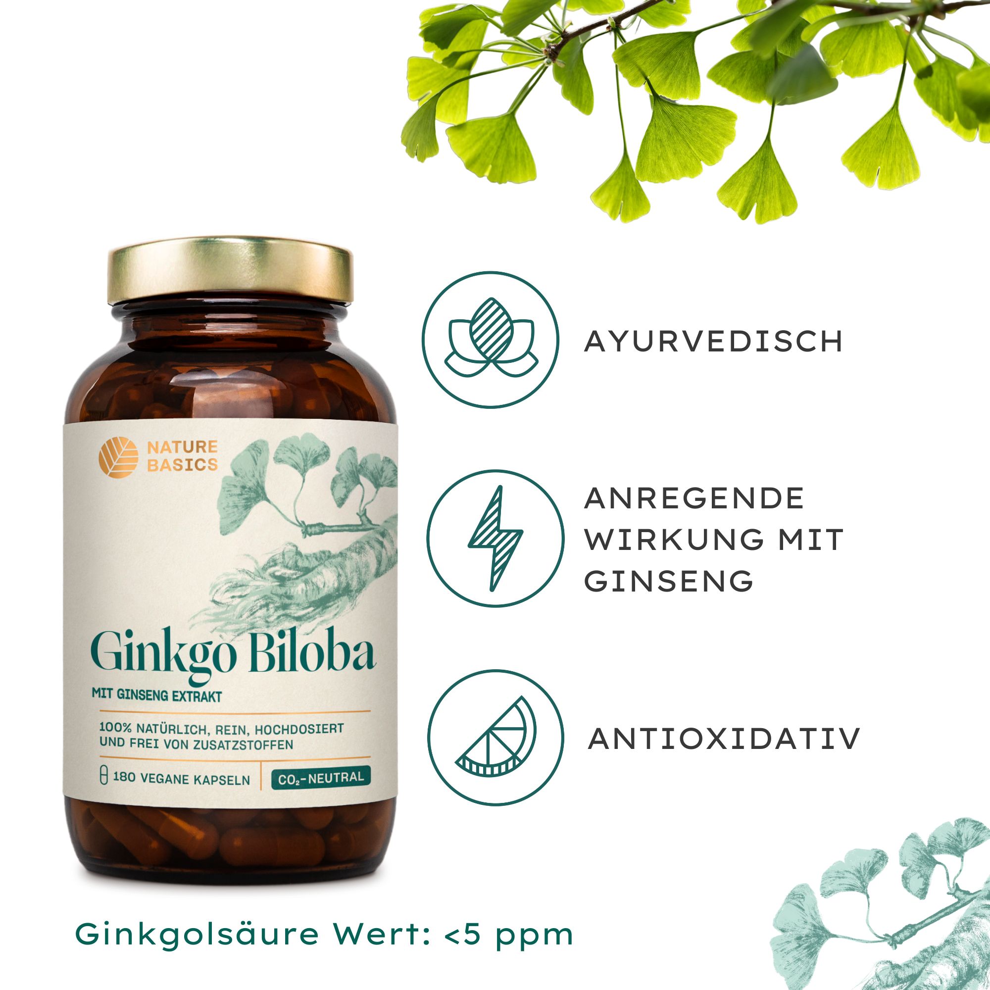 Braune Glasflasche mit Kapseln. Aufschrift: Ginkgo Biloba mit Ginseng Extrakt. Symbole: Ayurvedisch, antioxidativ, anregende Wirkung.