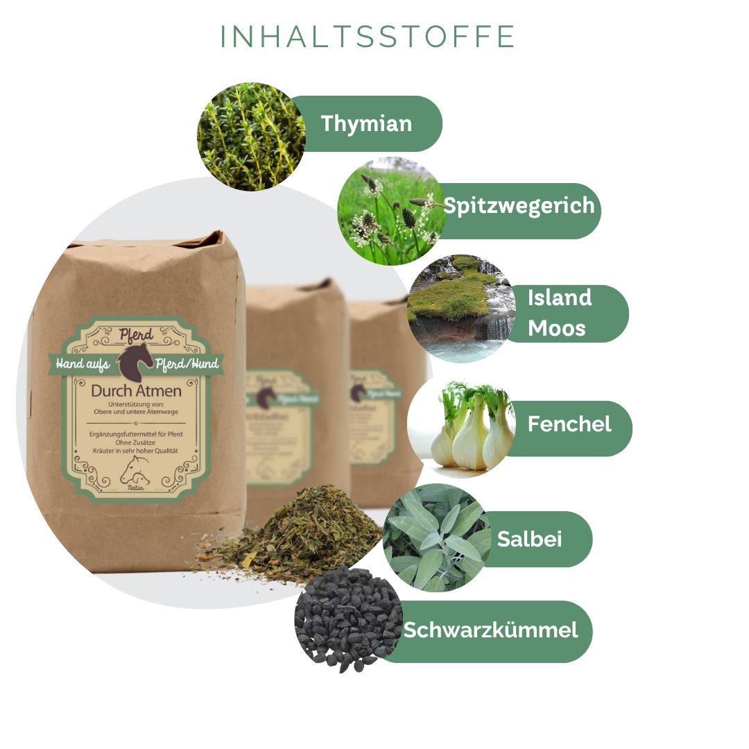 Drei braune Papiertüten mit Produktetikett und Kräutermischung. Einzelne Kräuter: Thymian, Spitzwegerich, Islandmoos, Fenchel, Salbei, Schwarzkümmel.