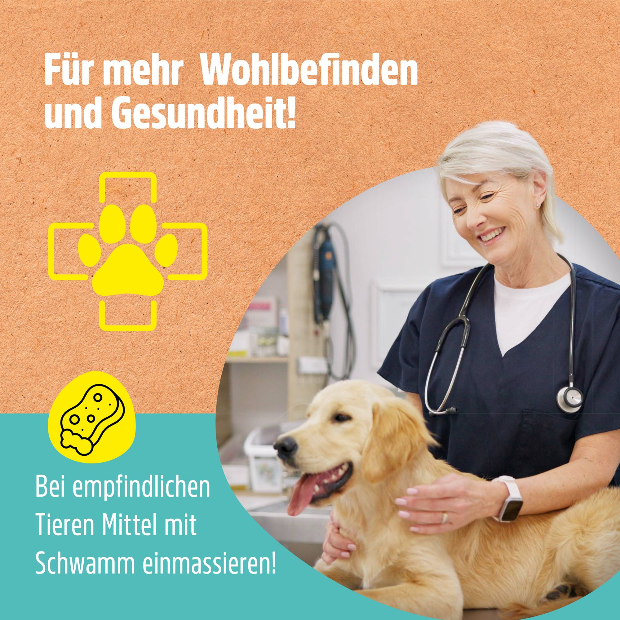 Tierarzt mit Hund. Text: Für mehr Wohlbefinden und Gesundheit! Gelbes Icon: Pfote im Kreuz. Text: Bei empfindlichen Tieren Mittel mit Schwamm einmassieren!