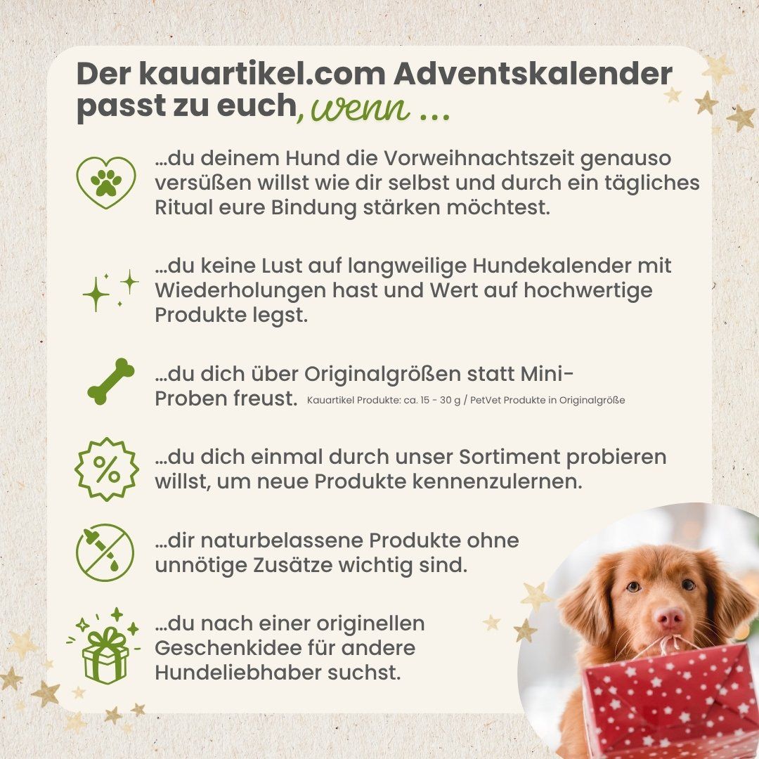Ein Hund sitzt neben einem Weihnachtsmann-Sack mit Kauartikeln.