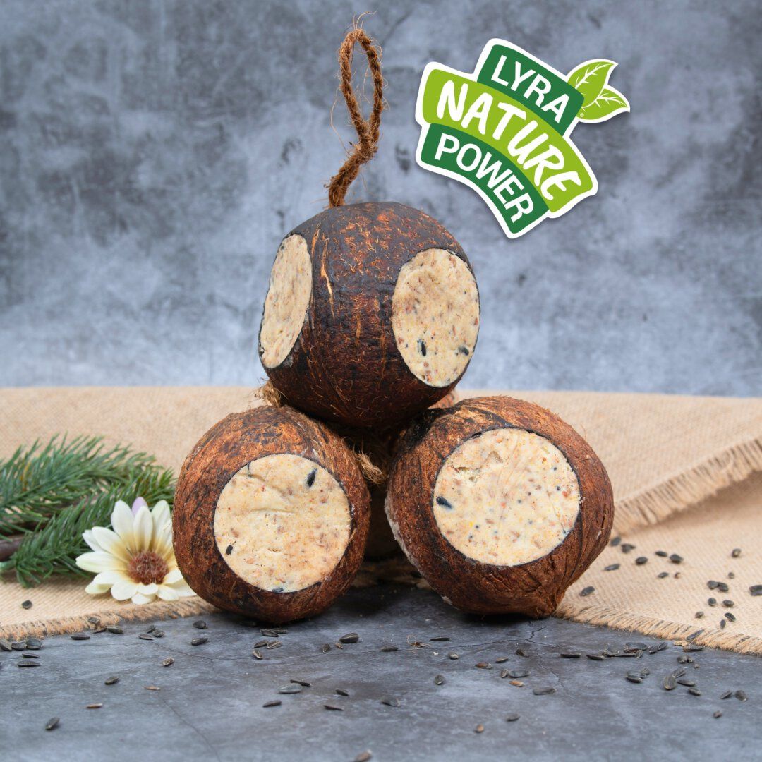 Lyra Pet® Gefüllte Kokosnuss mit Löchern