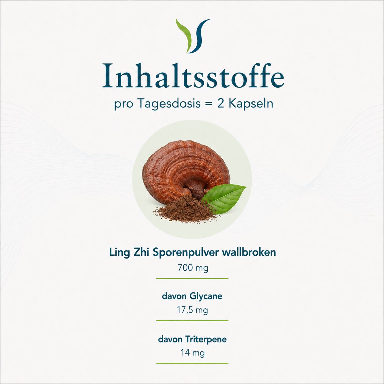 Ling Zhi Sporenpulver: 700 mg pro Tagesdosis (2 Kapseln), davon Glycane 17,5 mg, Triterpene 14 mg.