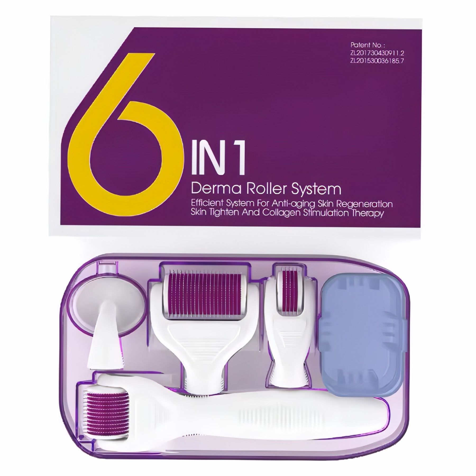 Verpackung eines 6-in-1 Dermaroller-Systems. Enthält eine transparente Box mit verschiedenen Aufsätzen und Zubehör.