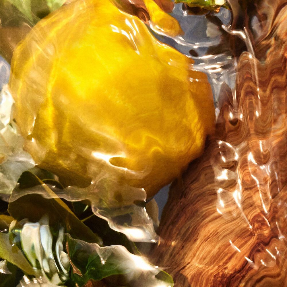 Nahaufnahme von gelber Frucht, Holz und Wasser. Reflexionen und Texturen.
