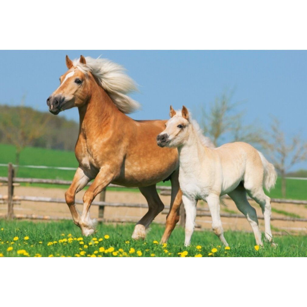 Schmidt Spiele Schmidt Spiele Puzzle Pferde im Metallkoffer 2 x 26 Teile, 2 x 48 Teile