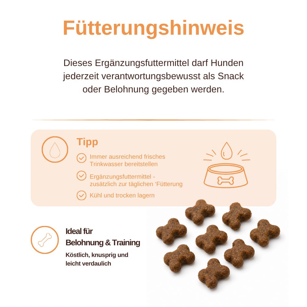 Mehrere sternförmige Hundesnacks, daneben ein Tipp zur Fütterung und Hinweise zur Belohnung & Training.