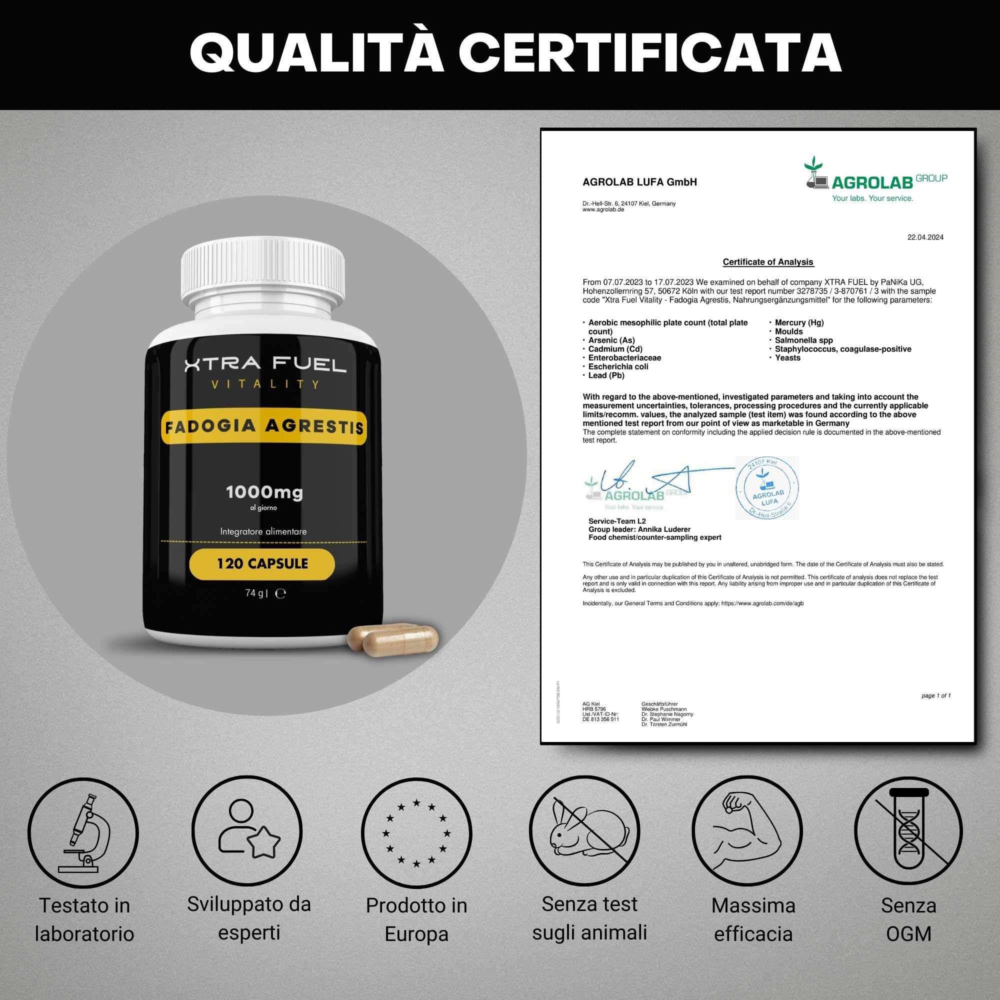 XTRA FUEL Fadogia Agrestis capsule. Flacone e certificato di analisi. Testato in laboratorio, Made in Europe.