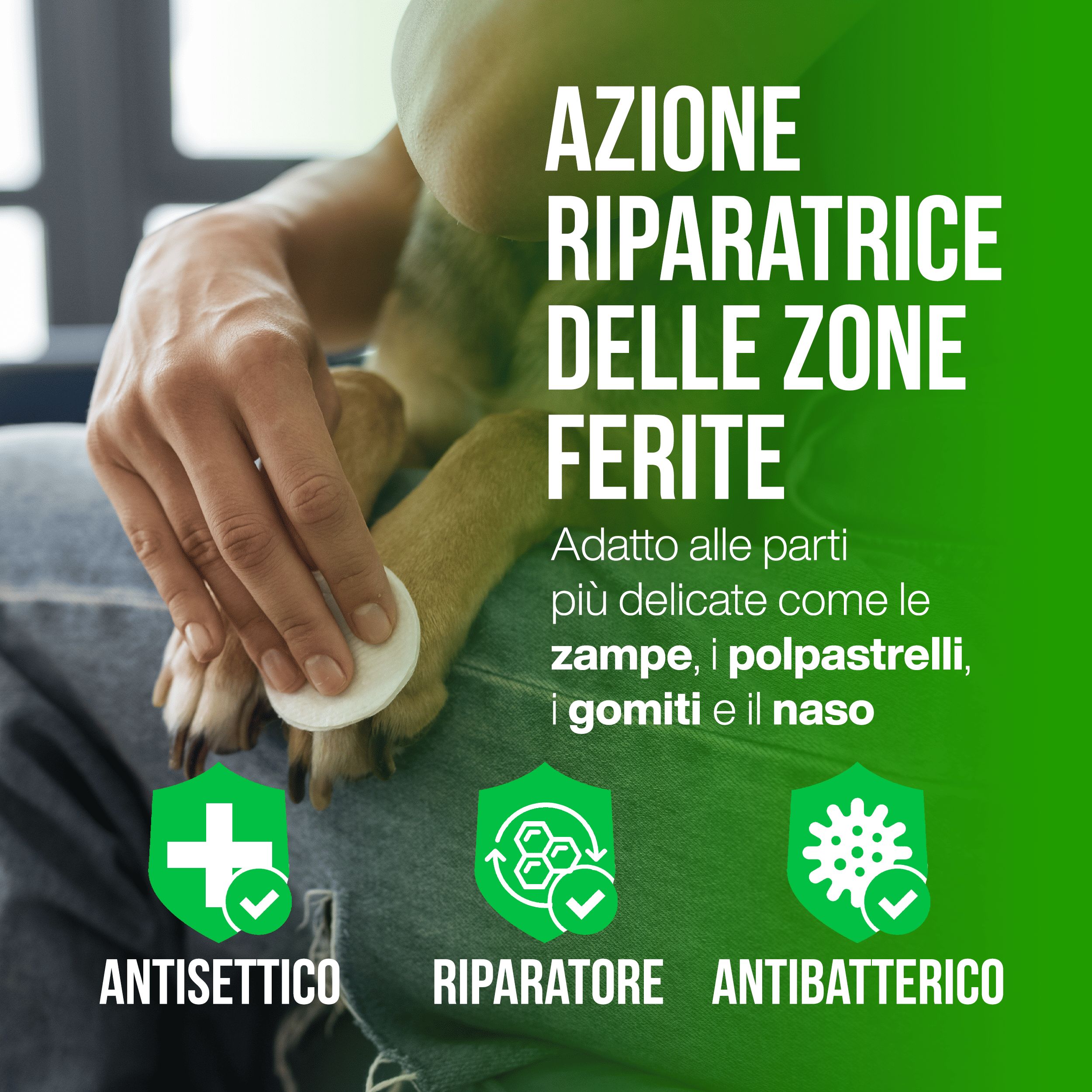 Primo piano di una mano che applica un batuffolo di cotone sulla zampa di un cane. Il testo recita "Azione riparatrice delle zone ferite". Adatto a zone sensibili come zampe, cuscinetti, gomiti e naso.