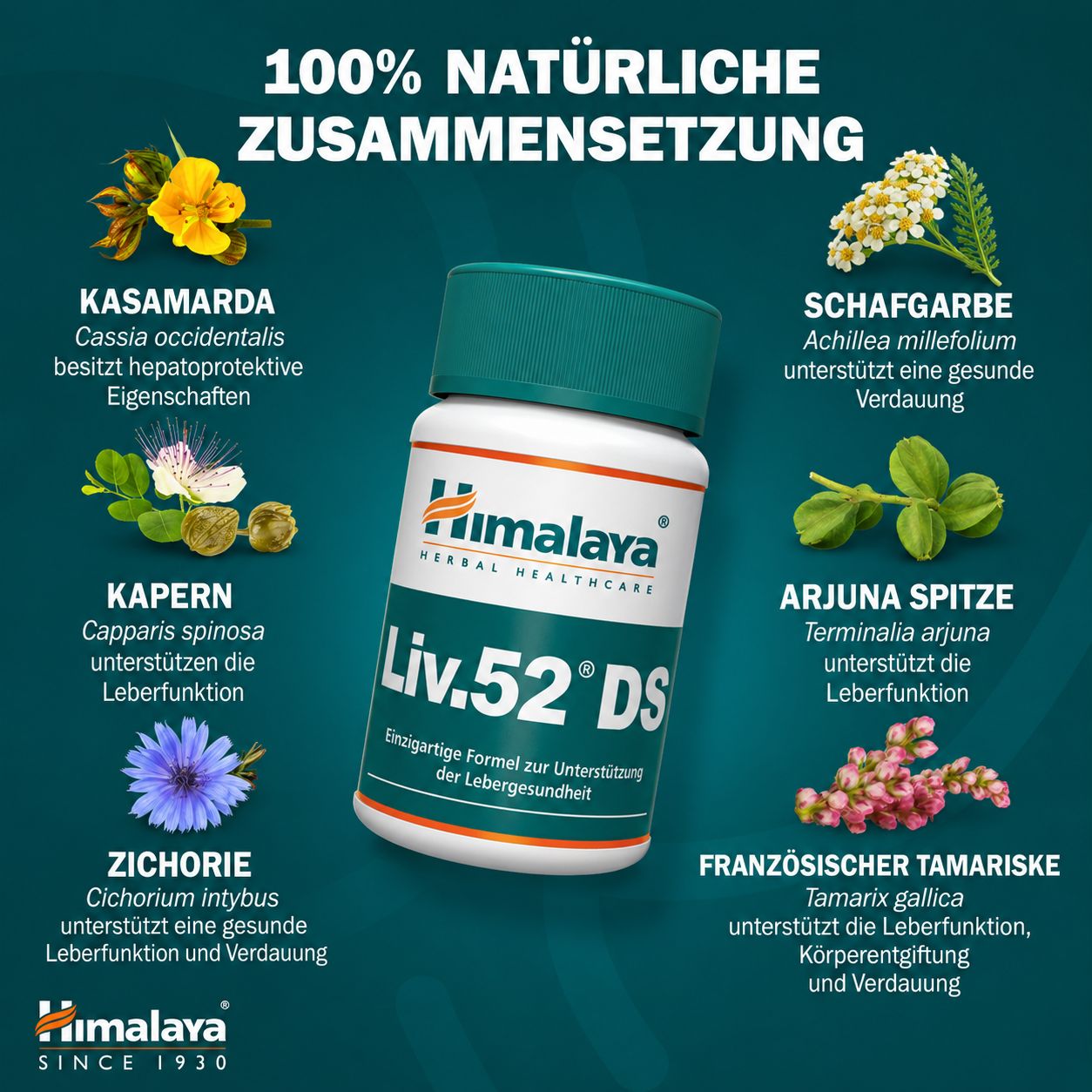 Flasche Himalaya Liv.52 DS Tabletten mit verschiedenen ayurvedischen Kräutern.