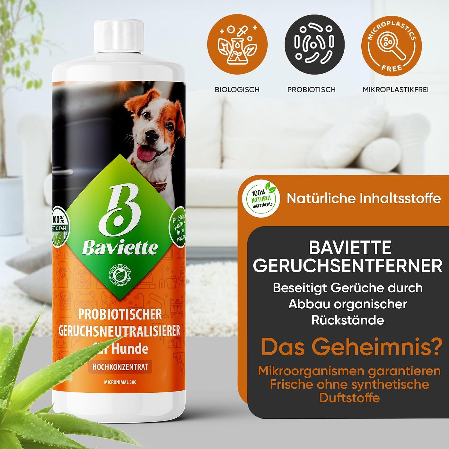 Baviette Probiotischer Geruchsneutralieser Konzentrat für Hundehaushalte