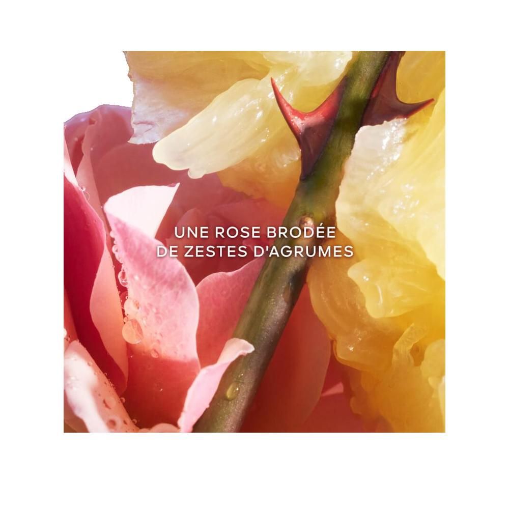 Nahaufnahme einer Rose und Zitrusfrüchten. Text: Une rose brodée de zestes d'agrumes.