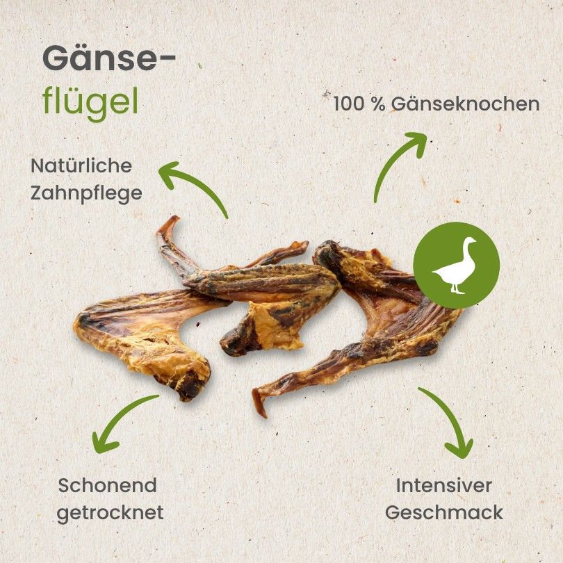 Haufen kleiner, getrockneter Fische (Sprotte) als Hundefutter.