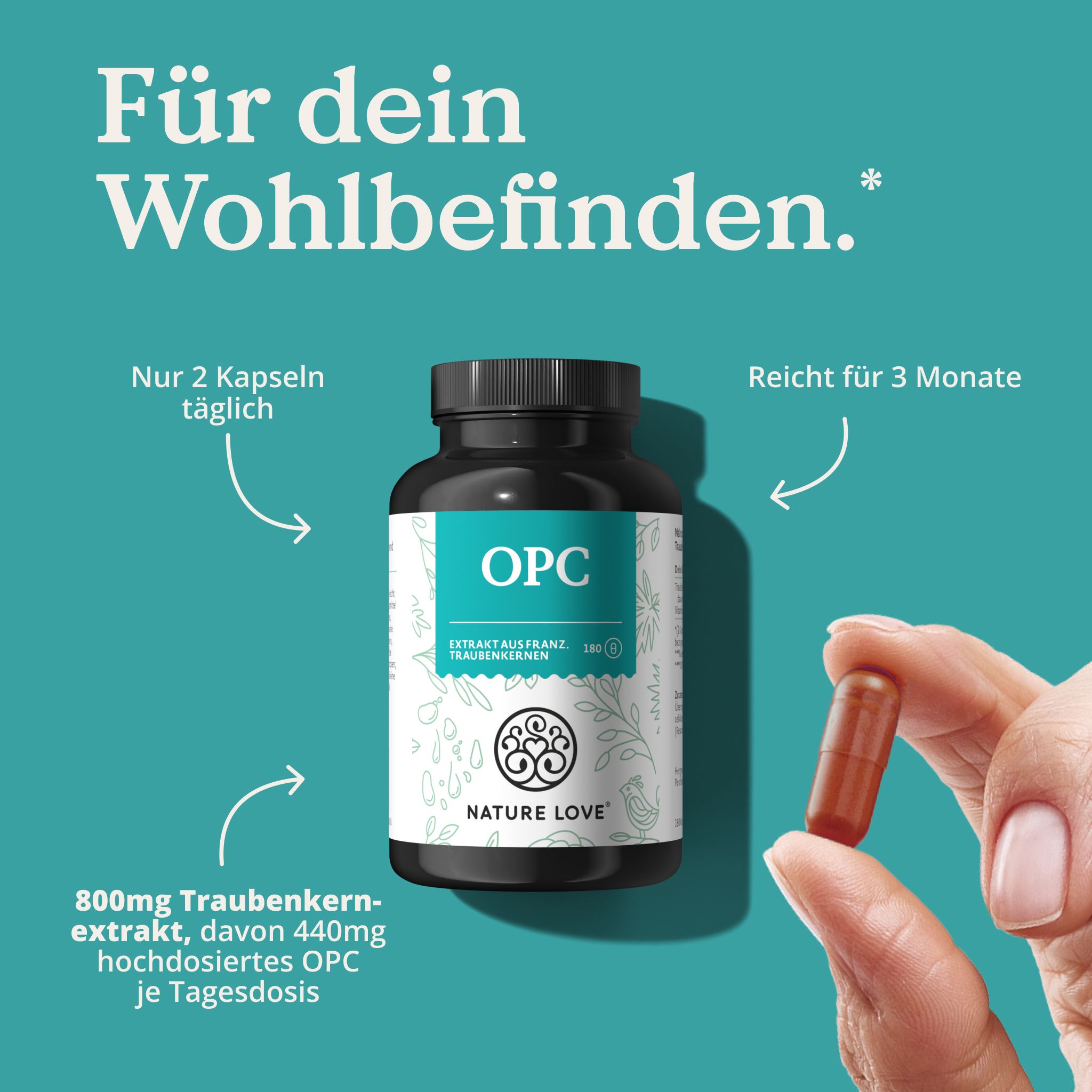 Produktflasche mit OPC-Kapsel. Aufschrift OPC, Extrakt aus franz. Traubenkernen. 180 Kapseln. Hand hält eine Kapsel.