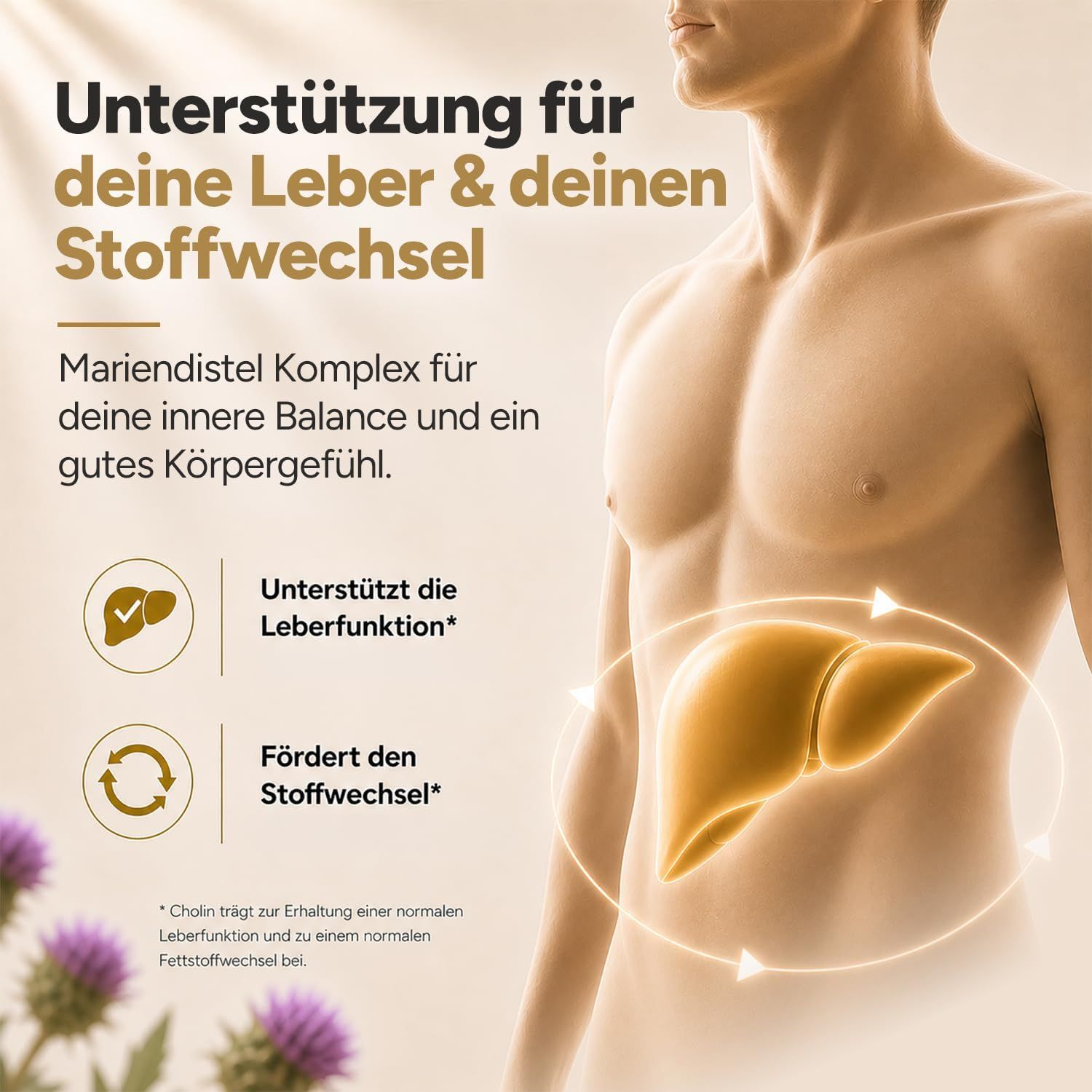 Mann mit hervorgehobenen Muskeln. Illustration der Leber. Text: Mariendistel Komplex für innere Balance. Unterstützt Leberfunktion.