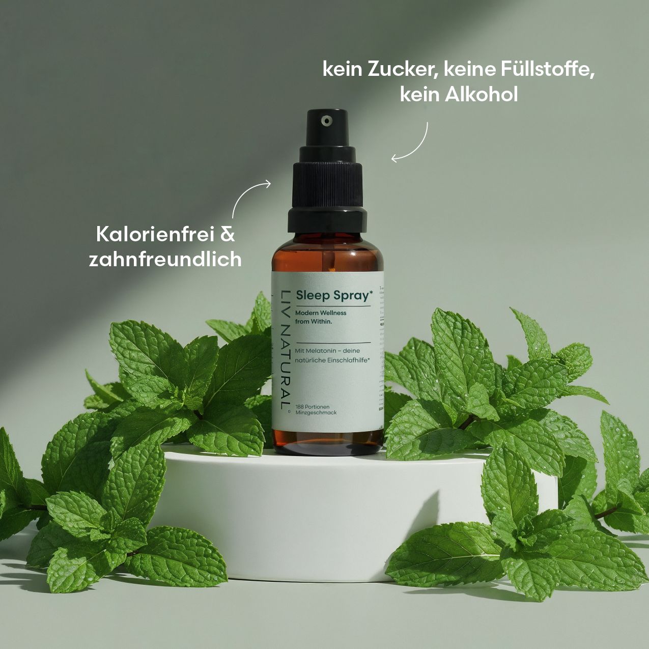 LIV Melatoninspray Minze  0,5mg Melatonin/Sprühstoß